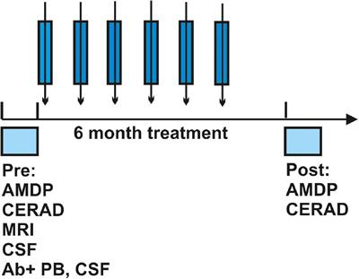 Immunotherapy with corticosteroids in anti-neural autoantibody-associated cognitive impairment: Retrospective case series